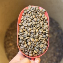 جاوا اندونزی