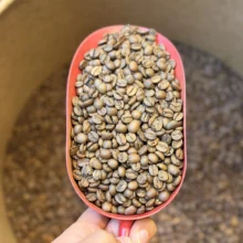 برزیل سانتوس