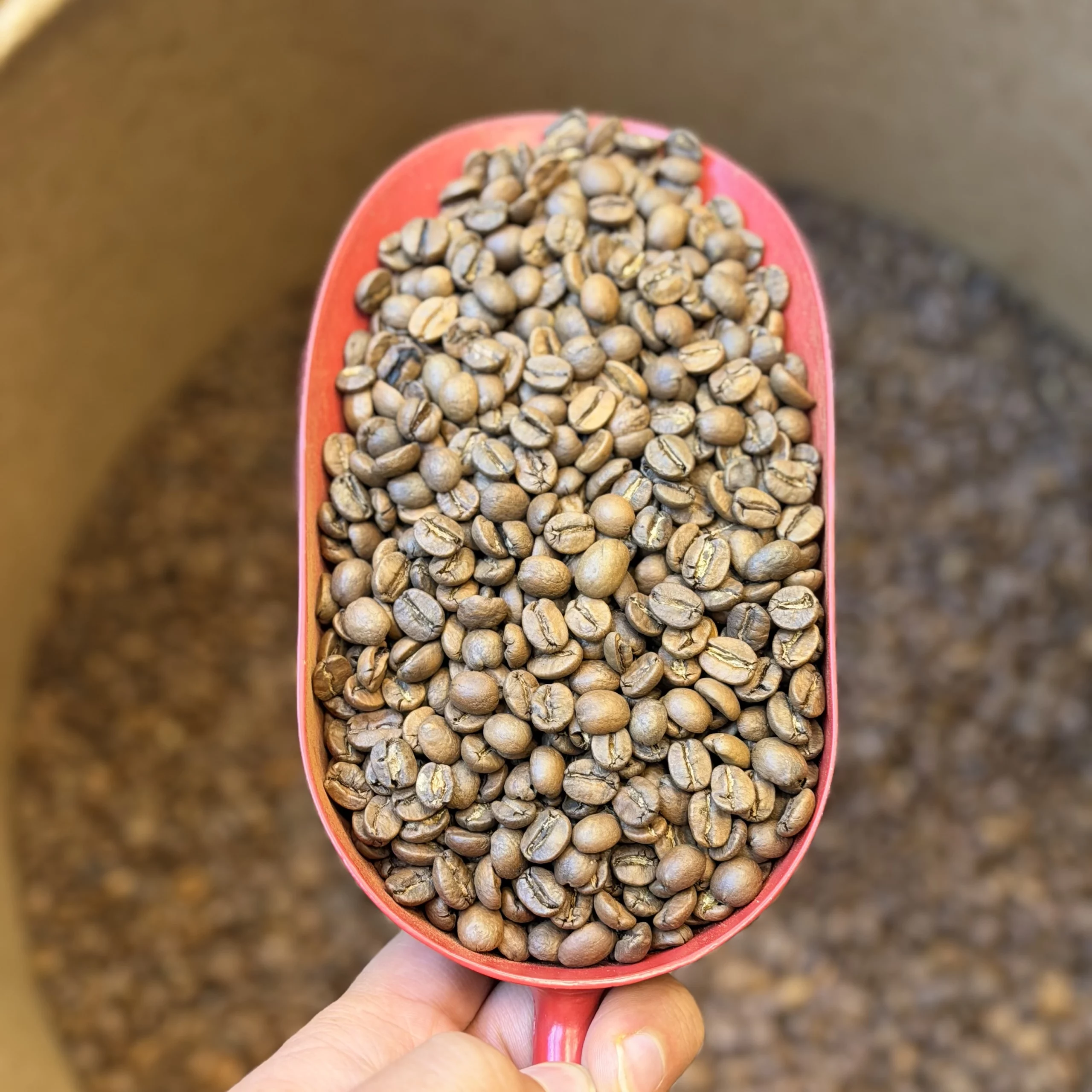 برزیل سانتوس